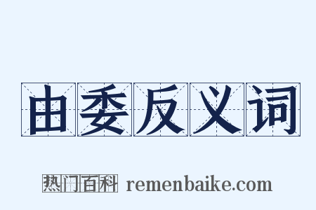 由委反义词是什么意思的图片